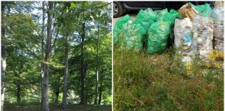 Defileul Jiului, curățat de gunoaie în cadrul proiectului Let`s do it, Romania!