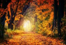 Echinocţiul de toamna: ziua este egală cu noaptea