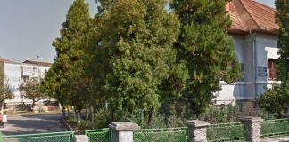 Grădinița ”Lumea Copiilor” din Târgu-Jiu angajează două îngrijitoare