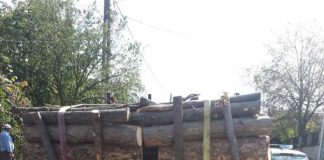 Bărbat fără permis, prins în timp ce conducea o autoutilitară încărcată cu lemne pentru care nu avea documente