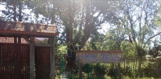 Ceremonie la Muzeul de la Măceșu, de Înălțarea Sfintei Cruci
