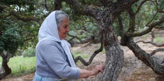 Gorjul, în top la valoarea achitată pensionarilor agricultori