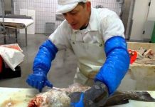 Marea Britanie recrutează lucrători la curățat și ambalat de pește