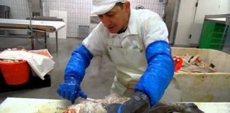 Marea Britanie recrutează lucrători la curățat și ambalat de pește