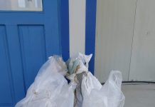 FOTO: Jandarmii și pompierii, chemați de urgență la o școală din Gorj