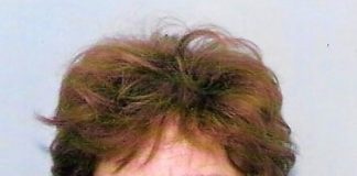 ION C. GOCIU, Brăila, oraşul amintirilor – Recenzie –