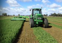 Agricultura pe înțelesul tuturor – Acum e timpul pentru înființarea noilor culturi furajere perene