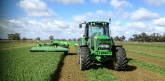 Agricultura pe înțelesul tuturor – Acum e timpul pentru înființarea noilor culturi furajere perene