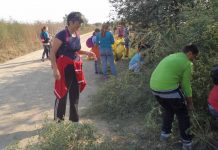 Mobilizare generală, Topul județelor înscrise la Ziua de Curățenie Națională