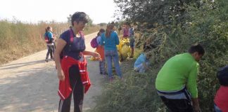 Mobilizare generală, Topul județelor înscrise la Ziua de Curățenie Națională