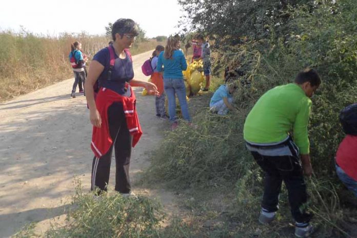 ziua-de-curatenie-nationala