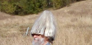 Bătălie mare, pe Dealul Frânceștilor din Peștișani