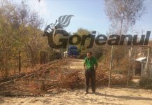 Un cetățean din Gîlcești a blocat drumul de acces spre sonda 343 Totea! Incidentul, deblocat de primar