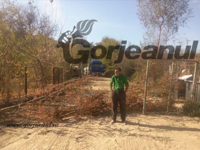 44191128_186585735568248_5671879041674641408_n