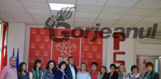 Parlamentarii Elvira Șarapatin și Mihai Weber și-au informat colegii despre referendum