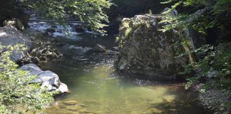 ANAR face investiţii de 450.000 de lei în Gorj