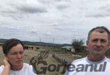 Pierd subvenția APIA din cauza unei greșeli