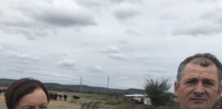 Pierd subvenția APIA din cauza unei greșeli