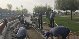 Alee distrusă pe Insuliță, război între primar și viceprimar