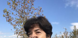 Controverse pentru înființarea muzeului Brâncuși la Târgu-Jiu