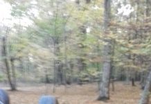 Un șofer beat criță s-a răsturnat cu mașina la Novaci