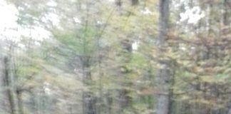 Un șofer beat criță s-a răsturnat cu mașina la Novaci