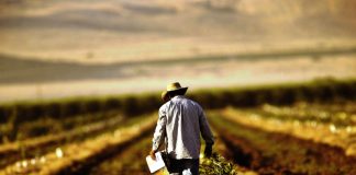 APIA Gorj a demarat o serie de plăţi pentru agricultorii din judeţ