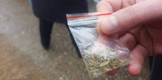 Student la Teologie, prins cu etnobotanice la Târgu-Jiu