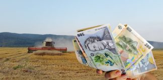 Peste 10.000 de fermieri gorjeni, autorizați la plata în avans