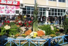 Ziua Recoltei de la Târgu-Jiu bate Referendumul pentru familie