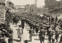 Aspecte ale luptei românilor transilvăneni împotriva stăpânirii Austro-Ungare