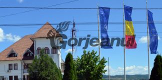 Post vacant de referent, la Primăria Turceni