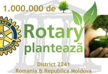 Rotary plantează arbori la Bârsești