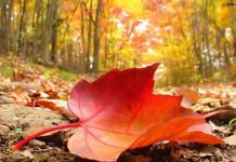 Anunţul meteorologilor!