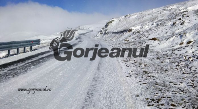 Achitări definitive în dosarul „Transalpina”