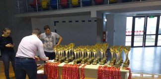 Aur şi bronz pentru luptătorii gorjeni