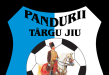 Clubul Sportiv Pandurii Târgu-Jiu face angajări! Concursul, în decembrie