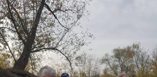 Șase fântâni, decolmatate la Scoarța