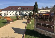 Post vacant de infirmier creșă, la Târgu-Cărbunești