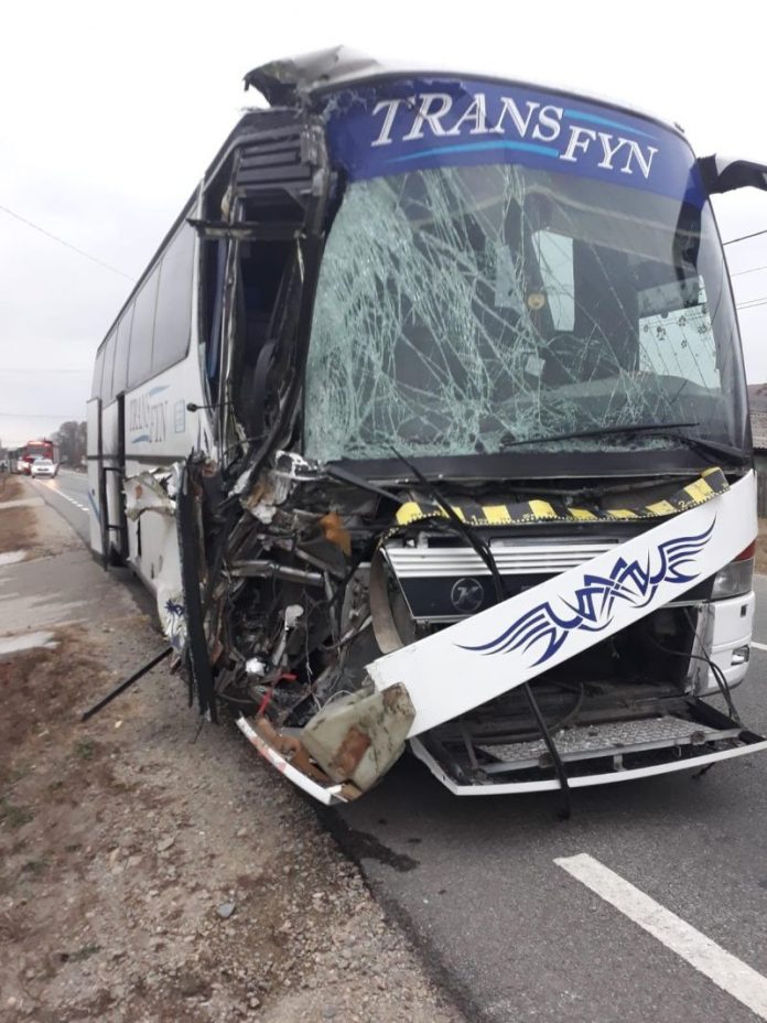 46110164_2243903232561772_3603931749840584704_n