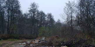 Morman de gunoaie în satul Stroiești, în albia Sohodolului!