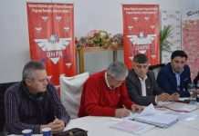 UNPR Gorj l-a exclus pe primarul Stan din partid