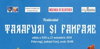Începe o nouă ediție a Festivalului Tarafuri şi Fanfare!