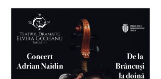 Concert marca Adrian Naidin, la Târgu-Jiu