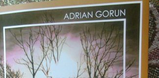 Educaţia…şi Lecţia de viaţă România în Anul Centenar – Domnul prof. univ. dr. Adrian GORUN şi confesiunea sa lirică – Despre o «Toamnă de zbucium în primăvara unui secol amăgitor»