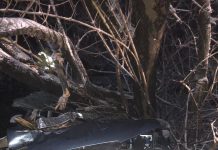 Accident la Ciuperceni