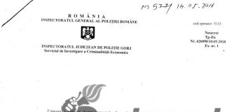 Pe Insulița din municipiu se strâng frunzele ca să fie aruncate în Jiu!