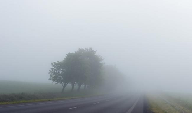 Cod galben de ceață