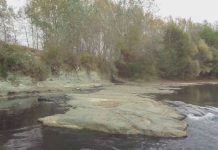 Stația de epurare de 2,8 milioane de euro a cedat și dejecțiile din rețeaua de canalizare a orașului Târgu-Cărbunești au ajuns în râul Blahnița. Aparegio, amendată de Garda de Mediu