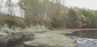 Stația de epurare de 2,8 milioane de euro a cedat și dejecțiile din rețeaua de canalizare a orașului Târgu-Cărbunești au ajuns în râul Blahnița. Aparegio, amendată de Garda de Mediu